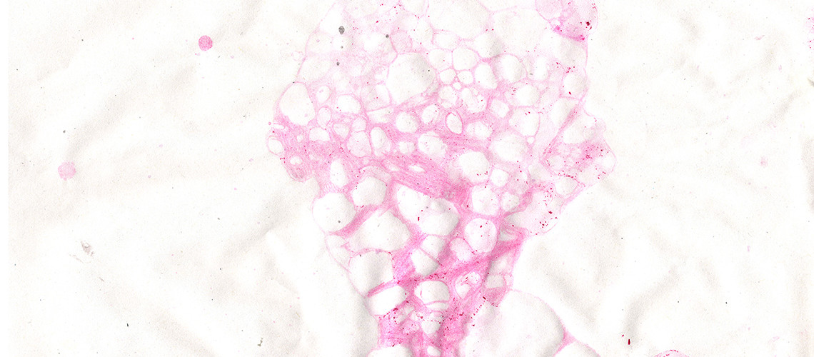 Bubble print – Ecole Houdon – Public school 9/10 years old