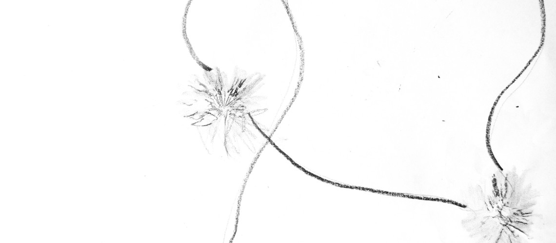 Print project / Ecole Houdon – Public school 9/10 years old